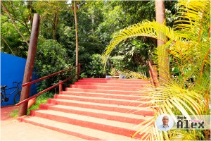 Escadaria Morro Nossa Senhora - Mongaguá