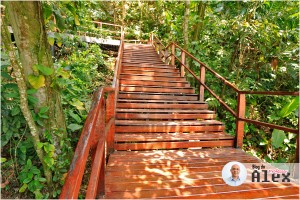 Escadaria Morro Nossa Senhora - Mongaguá