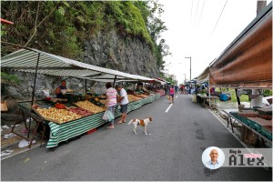 Feira Centro de Mongaguá SP