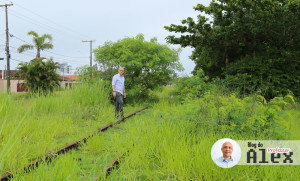 linha-trem-ferrea-mongagua-sp